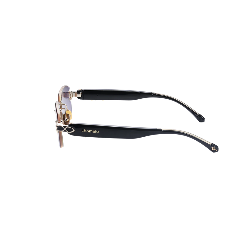 Patentli Prismatic™ Lensler